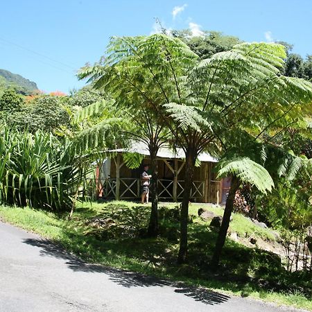 Natty Tropical Valley Roseau Exteriör bild