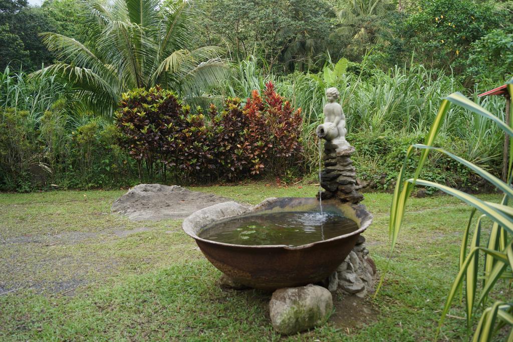 Natty Tropical Valley Roseau Exteriör bild