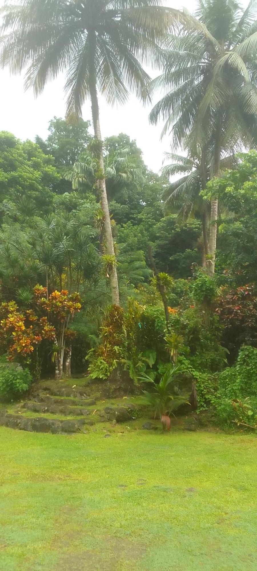 Natty Tropical Valley Roseau Exteriör bild