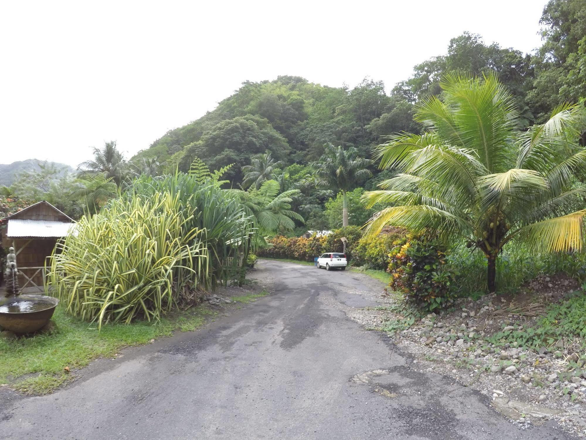 Natty Tropical Valley Roseau Exteriör bild