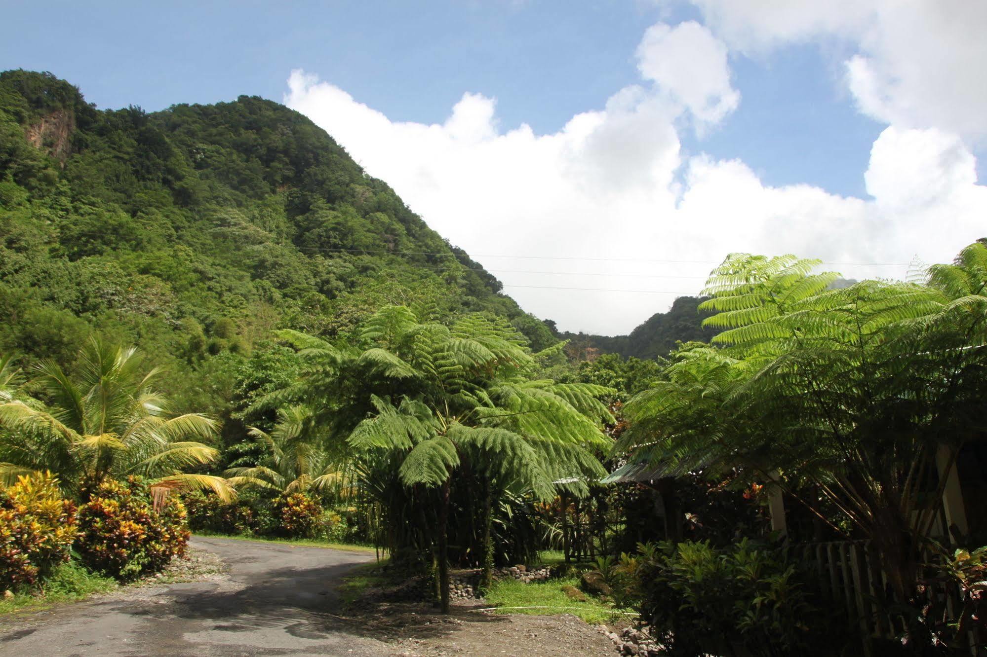 Natty Tropical Valley Roseau Exteriör bild